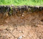 Last chance to attend soil analysis report training