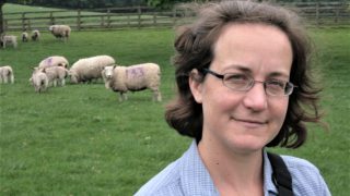 Grass event to help sheep farmers ‘play catch up’ on a late season