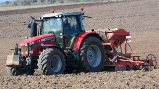 Taking on take-all to ensure good second wheats