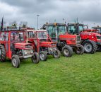 Video: 285 MF tractors in convoy; if she ain't red...