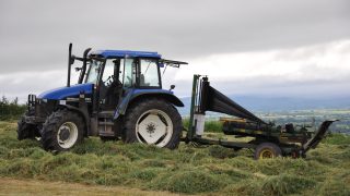 Department urged to help farmers build fodder resilience