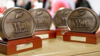 School finalists announced for first Northern Angus Challenge