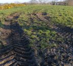 GrassCheck: Growth set to exceed 10-year average