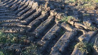 Conacre ‘not to blame’ for all of NI’s land fertility issues