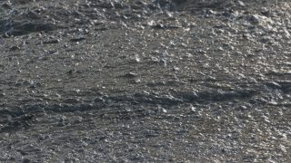 Co. Antrim slurry spill: Police warning motorists to slow down