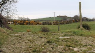 Latest grass growth predictions well below 10-year average