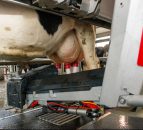 First robotic milking dairy farm to join Farm Excellence Programme