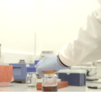 Grant awarded to develop a multiplex rapid test for mastitis