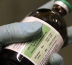 Biosecurity: Big issues facing post-Brexit disease control