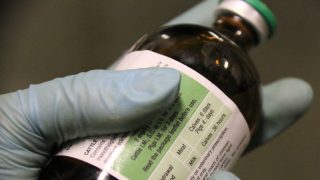 UK’s pig industry halves antibiotic use in just 2 years