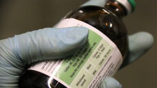 Biosecurity: Big issues facing post-Brexit disease control