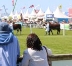 Results and pictures: All the action from the beef rings on Balmoral Day 1