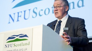 NFUS calls on Westminster and Holyrood to end spat and resolve differences