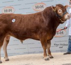 Report: Lim summer sale up by more than £400 on 2017