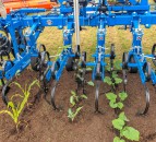 Mechanical weeding: ‘We need something else in our toolbox’