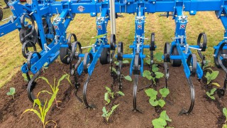 Mechanical weeding: ‘We need something else in our toolbox’