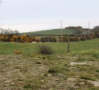 £5 billion investment to fund British nature conservation