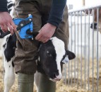 Genomics to rise to next level with new on-farm female test