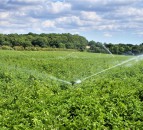 Farmers advised to make long-term water plans as temperatures continue to soar