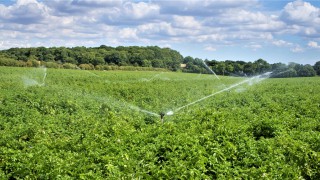 Atlantic circulation collapse could cost British arable sector £346 million a year