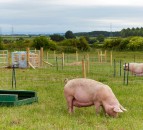 ‘Smart’ farms to transform how we produce food