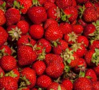 3 arrested following large-scale stawberry theft ‘worth thousands’ on UK farms