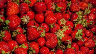 3 arrested following large-scale stawberry theft ‘worth thousands’ on UK farms