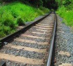 Irish cross-country train hits herd of cows