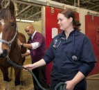 RCVS named one of the UK's best workplaces for women