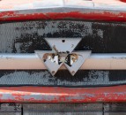 Auction report: 'If it's not red leave it in the shed'