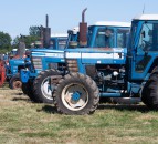 Auction report: Enough Fords to fill a field; check out these prices
