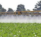 First major cross-sector review of weed control measures announced