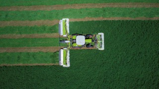 New world record for mowing: But who, where and how fast?