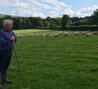 Welsh farmers urged to make their voice heard on post-Brexit consultation