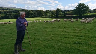Welsh farmers urged to make their voice heard on post-Brexit consultation