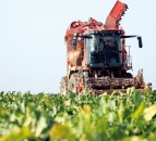 Bayer to appeal EU General Court ruling on neonicotinoids ban