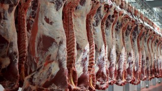 ‘Brexit-proofing’: Kepak acquires 2 Sisters UK red meat business