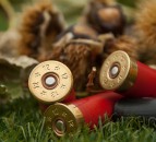 Countryside Alliance weighs in on firearm licencing medical review