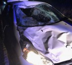 Driver makes lucky escape after 'frightening' smash with cow in Durham