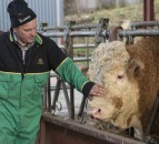 £4.5 million Crown Estate investment to support Scottish farm tenants