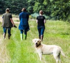 Dog thieves warned 'we will come after you' as first dedicated dog theft officer appointed