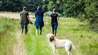 UFU reminds dog owners to be responsible this Christmas