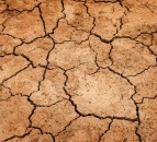 National Drought Group agrees to plan for future risk
