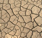 UK heatwave: June one of the driest on record for much of the UK
