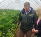 MPs see first-hand 'appalling waste' on Scotland's fields of rotting fruit