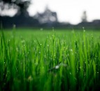 Is it legal to draw water from the source in Northern Ireland?