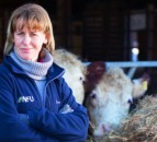 National Food Strategy serves as a 'wake-up call for us all' - Batters