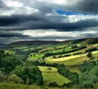 Natural England appoints life peer as new deputy chairman