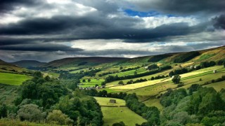 Natural England appoints life peer as new deputy chairman