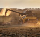 Rape straw and livestock bedding...is there a solution?